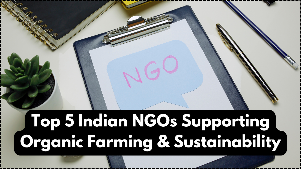 Top 5 Indian NGOs Supporting Organic Farming & Sustainability