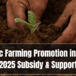 Organic Farming Promotion in India – 2025 Subsidy & Support