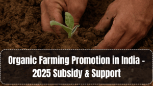 Organic Farming Promotion in India – 2025 Subsidy & Support