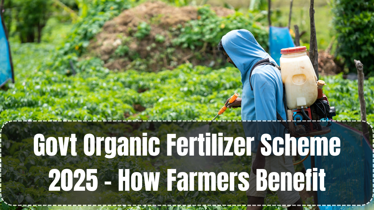 Govt Organic Fertilizer Scheme 2025 – How Farmers Benefit