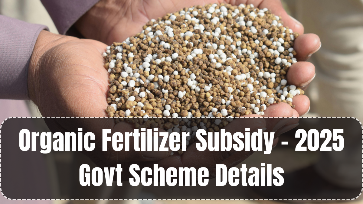 Organic Fertilizer Subsidy – 2025 Govt Scheme Details