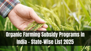 Organic Farming Subsidy Programs in India – State-Wise List 2025
