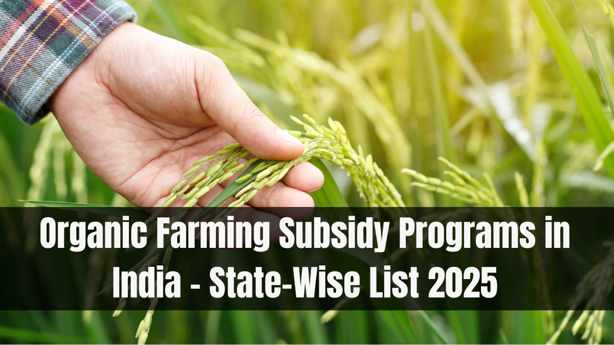 Organic Farming Subsidy Programs in India – State-Wise List 2025
