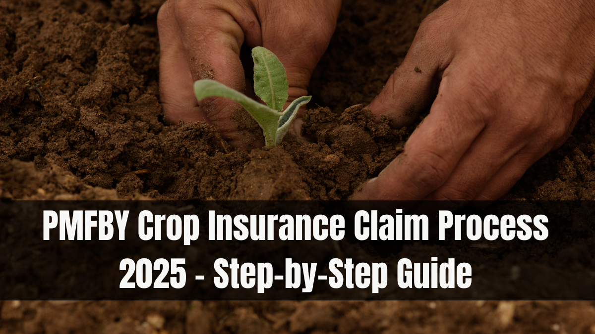 PMFBY Crop Insurance Claim Process 2025 – Step-by-Step Guide
