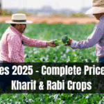 MSP Rates 2025 – Complete Price List for Kharif & Rabi Crops