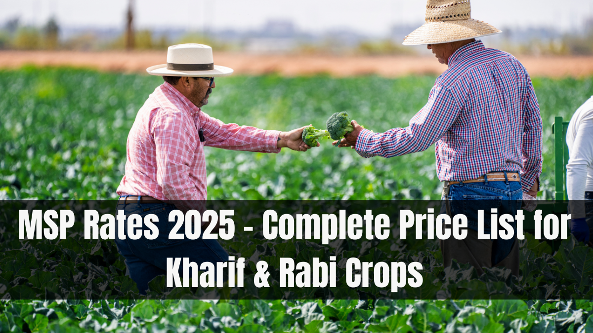 MSP Rates 2025 – Complete Price List for Kharif & Rabi Crops