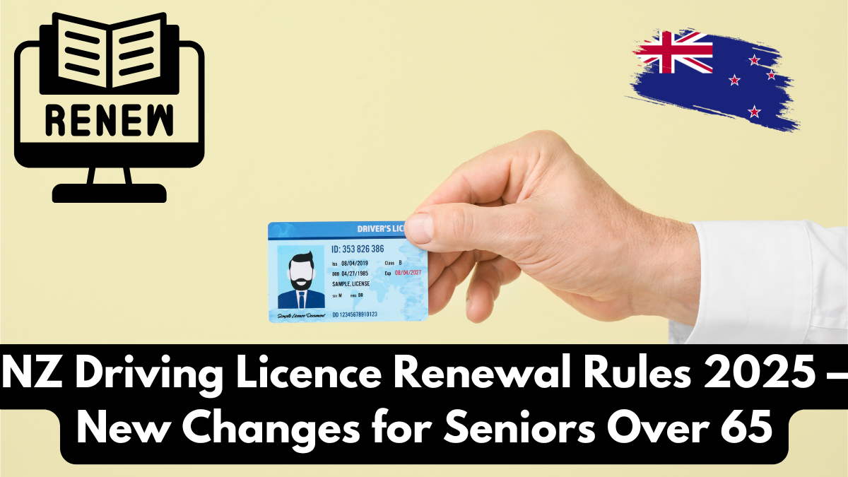 NZ Driving Licence Renewal Rules 2025 – New Changes for Seniors Over 65